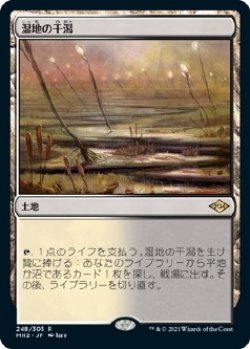 画像1: 【日本語版】湿地の干潟/Marsh Flats