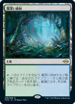 画像1: 【日本語版】霧深い雨林/Misty Rainforest