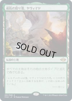 画像1: 【Foil】【日本語版】成長の揺り篭、ヤヴィマヤ/Yavimaya, Cradle of Growth