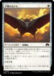 【日本語版】下顎のカイト/Mandibular Kite
