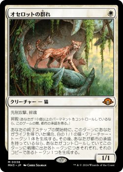 画像1: 【日本語版】オセロットの群れ/Ocelot Pride