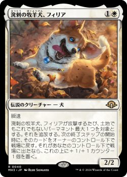 画像1: 【日本語版】溌剌の牧羊犬、フィリア/Phelia, Exuberant Shepherd