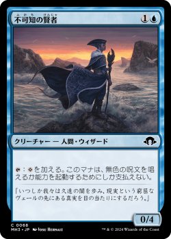 画像1: 【日本語版】不可知の賢者/Sage of the Unknowable