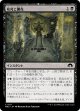 【日本語版】枯死と開花/Wither and Bloom