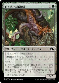 画像1: 【Foil】【日本語版】日を浴びる繁殖鱗/Basking Broodscale