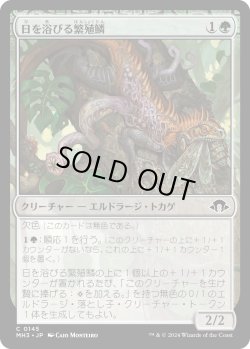 画像1: 【Foil】【日本語版】日を浴びる繁殖鱗/Basking Broodscale