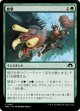 【日本語版】鳥撃/Fowl Strike