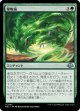 【日本語版】怪物渦/Monstrous Vortex
