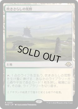 画像1: 【Foil】【日本語版】吹きさらしの荒野/Windswept Heath