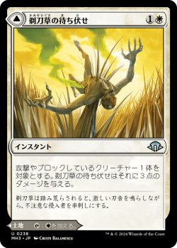 画像1: 【Foil】【日本語版】剃刀草の待ち伏せ/剃刀草の原野/Razorgrass Ambush/Razorgrass Field