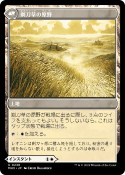 画像2: 【Foil】【日本語版】剃刀草の待ち伏せ/剃刀草の原野/Razorgrass Ambush/Razorgrass Field