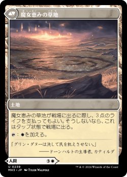 画像2: 【日本語版】魔女の結界師/魔女恵みの草地/Witch Enchanter/Witch-Blessed Meadow
