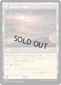 画像2: 【Foil】【日本語版】魔女の結界師/魔女恵みの草地/Witch Enchanter/Witch-Blessed Meadow