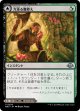 【日本語版】力漲る腹拵え/原生樹林帯/Revitalizing Repast/Old-Growth Grove