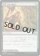 【Foil】【日本語版】力漲る腹拵え/原生樹林帯/Revitalizing Repast/Old-Growth Grove