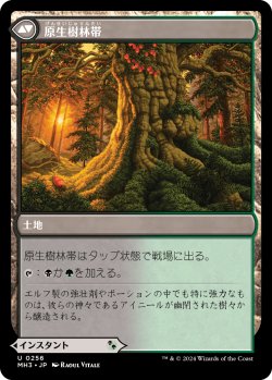 画像2: 【日本語版】力漲る腹拵え/原生樹林帯/Revitalizing Repast/Old-Growth Grove
