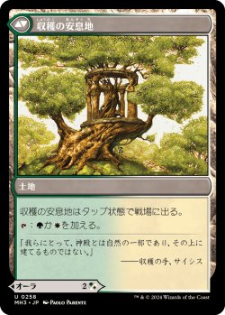 画像2: 【Foil】【日本語版】収穫の力/収穫の安息地/Strength of the Harvest/Haven of the Harvest