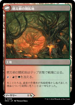 画像2: 【Foil】【日本語版】根絶やし根/燃え柳の開拓地/Stump Stomp/Burnwillow Clearing