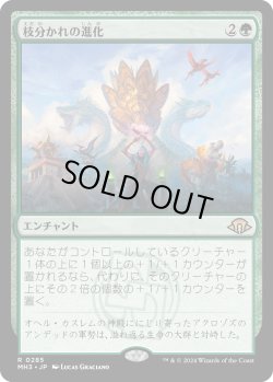 画像1: 【Foil】【日本語版】枝分かれの進化/Branching Evolution