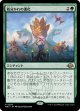 【Foil】【日本語版】枝分かれの進化/Branching Evolution