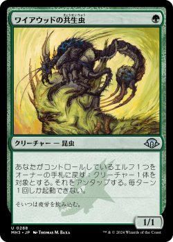 画像1: 【Foil】【日本語版】ワイアウッドの共生虫/Wirewood Symbiote