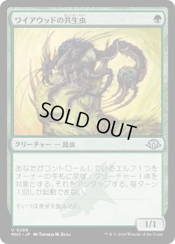画像1: 【Foil】【日本語版】ワイアウッドの共生虫/Wirewood Symbiote