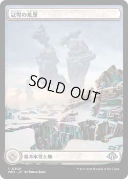 画像1: 【Foil】【フルアート】【日本語版】冠雪の荒地/Snow-Covered Wastes