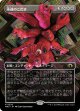 【ボーダーレス】【日本語版】永遠のこだま/Echoes of Eternity