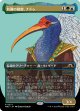 【ボーダーレス】【日本語版】有翼の叡智、ナドゥ/Nadu, Winged Wisdom