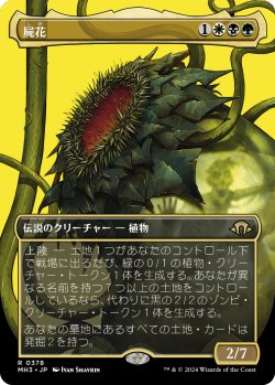 画像1: 【Foil】【ボーダーレス】【日本語版】屍花/The Necrobloom