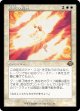 【旧枠】【日本語版】堅忍の閃光/Flare of Fortitude