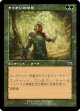 【旧枠】【日本語版】ライオンの陰影/Lion Umbra
