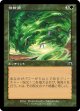 【旧枠】【日本語版】怪物渦/Monstrous Vortex