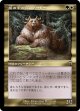 【Foil】【旧枠】【日本語版】熊の中の王、クードー/Kudo, King Among Bears