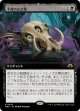 【Foil】【拡張枠】【日本語版】不死のさざ波/Ripples of Undeath