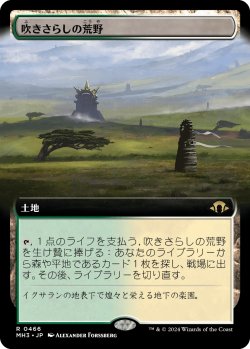 画像1: 【拡張枠】【日本語版】吹きさらしの荒野/Windswept Heath