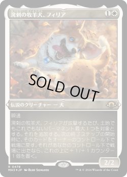 画像1: 【エッチングFoil】【日本語版】溌剌の牧羊犬、フィリア/Phelia, Exuberant Shepherd