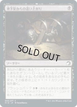 画像1: 【日本語版】地下室からの這い上がり/Crawl from the Cellar