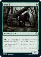 【日本語版】うなる狼/Snarling Wolf