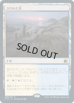 画像1: 【日本語版】さびれた浜/Deserted Beach