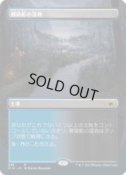 画像1: 【ボーダーレス】【日本語版】難破船の湿地/Shipwreck Marsh