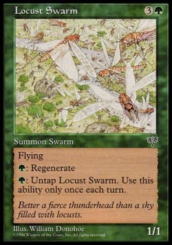 画像1: 『英語版』イナゴの大群/Locust Swarm