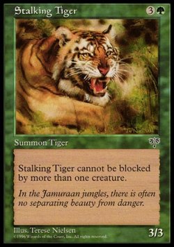 画像1: 【日本語版】忍び寄る虎/Stalking Tiger