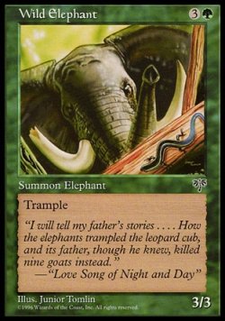 画像1: 『英語版』野生の象/Wild Elephant