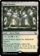 『Foil』『英語版』草萌ゆる玄関/Lush Portico