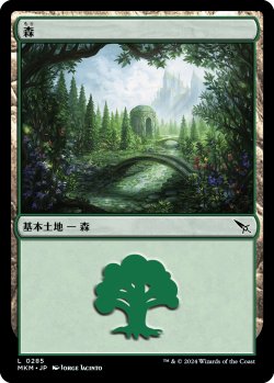 画像1: 【日本語版】森/Forest