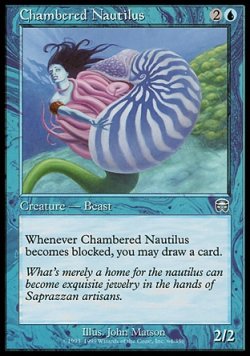 画像1: 【日本語版】オウムガイ/Chambered Nautilus