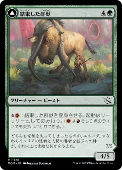 画像1: 【日本語版】結束した群獣/板金鎧の窯獣/Bonded Herdbeast/Plated Kilnbeast