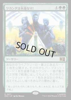 画像1: 【日本語版】ワカンダは永遠なり！/Wakanda Forever!