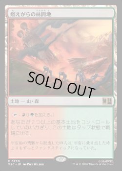 画像1: 【日本語版】燃えがらの林間地/Cinder Glade